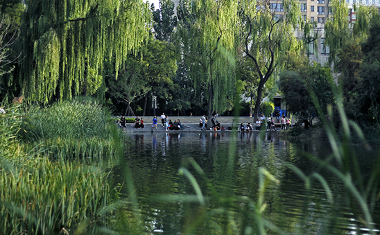  太原龙潭公园栖凤湖湿地园